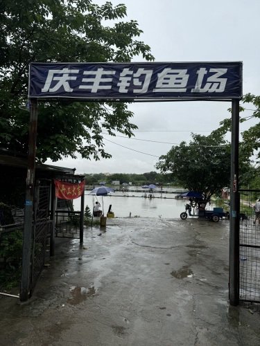 庆丰钓鱼场钓点与钓场环境照片