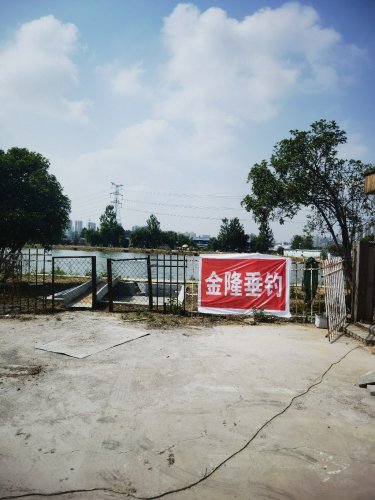 金隆垂钓钓场环境照片