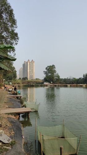 小明钓鱼场钓场环境照片