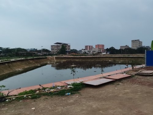 合塘钓场钓场环境照片