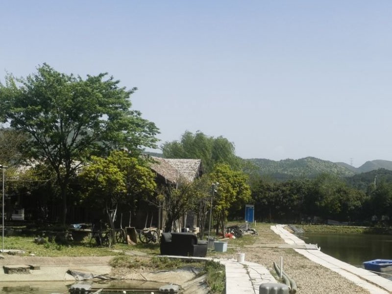 湖州小圆岛网红垂钓场钓点与钓场环境照片