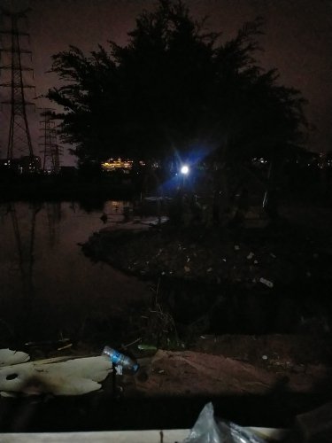 中山市漫茉莉生态农场钓鱼场钓场环境照片