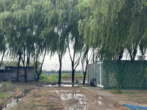 在水一方钓场钓点与钓场环境照片