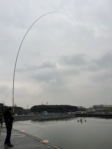 宁波江北友相聚垂钓园钓点与钓场环境照片