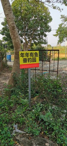 年年有鱼垂钓园钓点与钓场环境照片