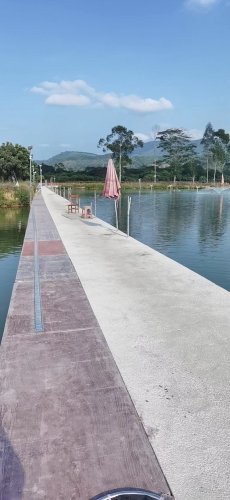水星巨物钓场钓点与钓场环境照片