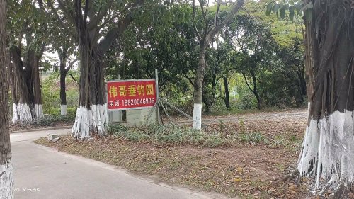 伟哥垂钓园钓点与钓场环境照片
