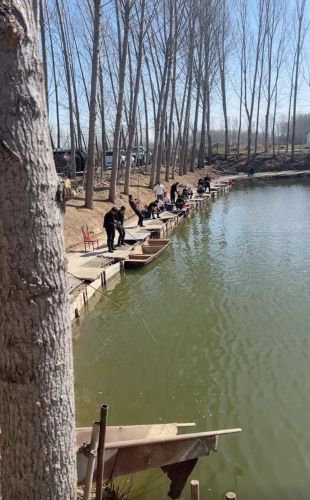 小田垂钓园钓点与钓场环境照片