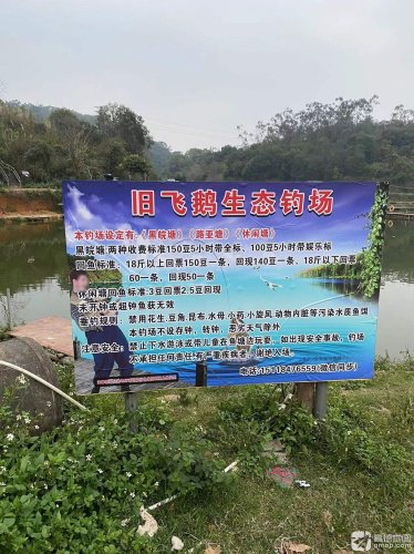 旧飞鹅生态钓场钓点与钓场环境照片