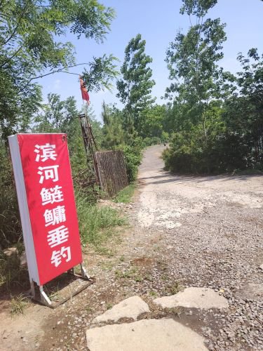 滨河鲢鳙垂钓钓点与钓场环境照片
