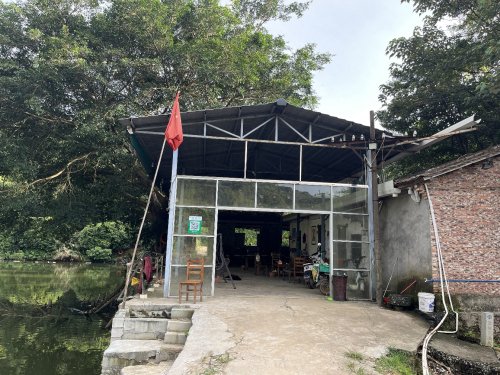 天鹿湖山猪塘钓鱼场钓点与钓场环境照片