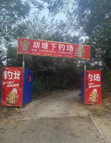 胡塘下钓场钓点与钓场环境照片