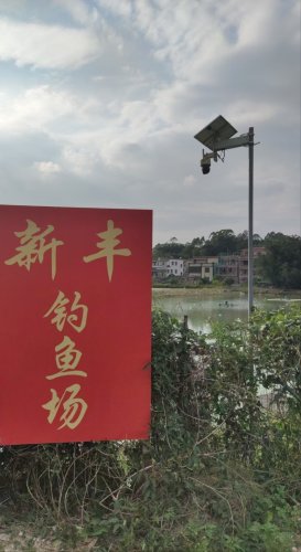 新丰钓鱼场钓点与钓场环境照片