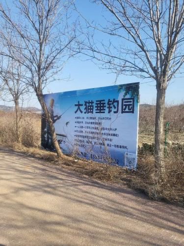 大猫垂钓园钓点与钓场环境照片