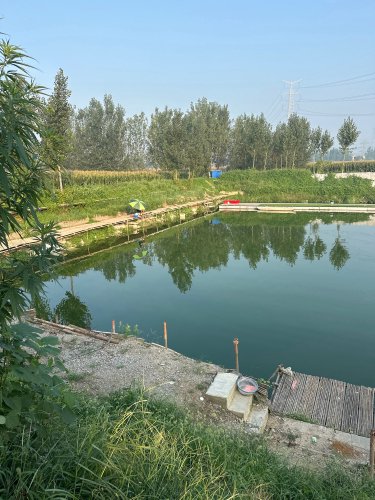 九龙休闲垂钓钓点与钓场环境照片