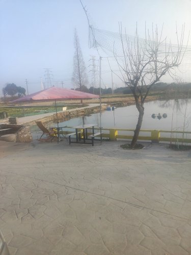 濑阳钓场钓场环境照片