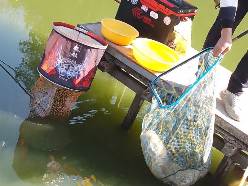 南坑钓场钓点与钓场环境照片