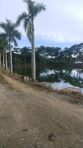 兵华钓鱼场钓点与钓场环境照片