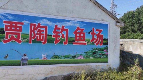 贾陶钓鱼场钓点与钓场环境照片