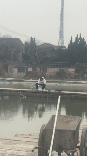 下邵垂钓园钓点与钓场环境照片