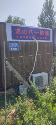 龙山八一钓场钓点与钓场环境照片