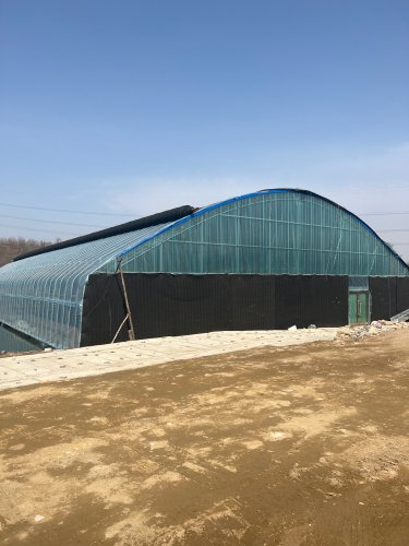 大连保税区金山耐火材料(四季垂钓园)钓场环境照片
