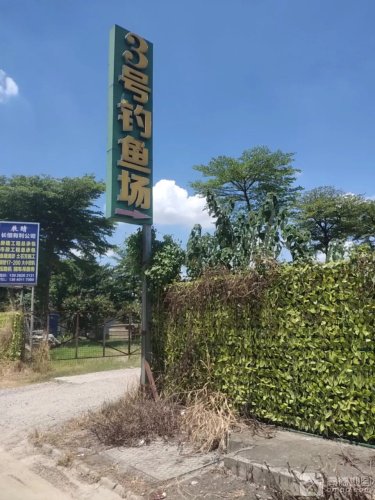 上华3号钓鱼场钓点与钓场环境照片
