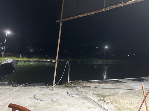 一号鱼塘钓点与钓场环境照片