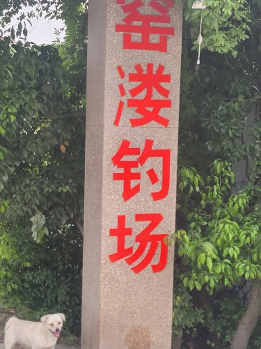 窑溇钓场钓场环境照片