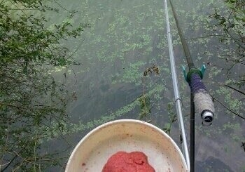 大浦闸内钓点与钓场环境照片