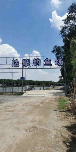 达摩钓鱼场钓点与钓场环境照片