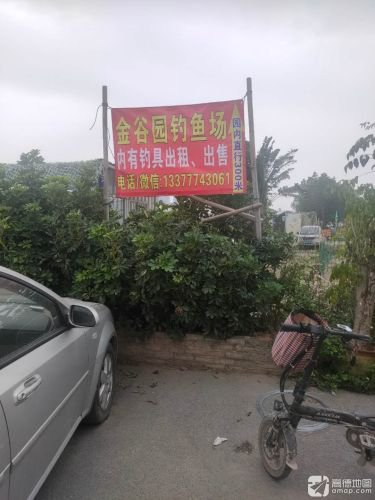 金谷园钓鱼场钓点与钓场环境照片