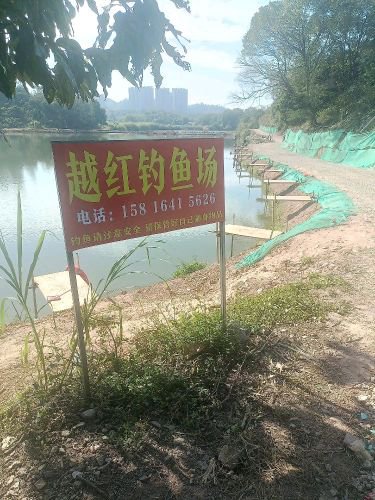 越红钓鱼场钓点与钓场环境照片
