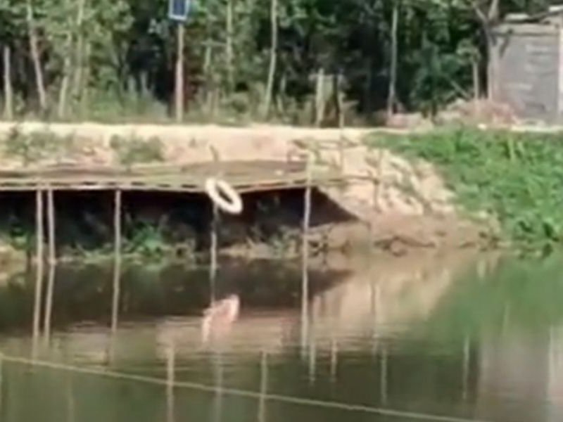 故县垂钓园钓点与钓场环境照片