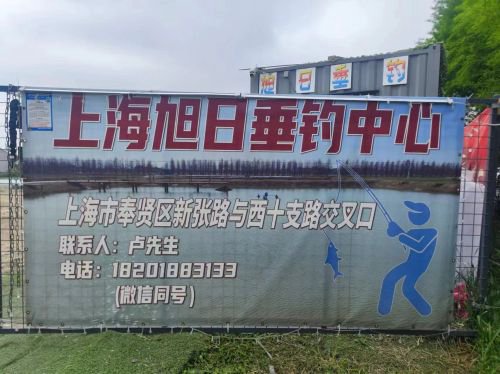 上海旭日垂钓中心钓点与钓场环境照片