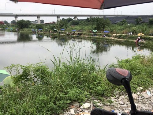 茶东钓场钓点与钓场环境照片